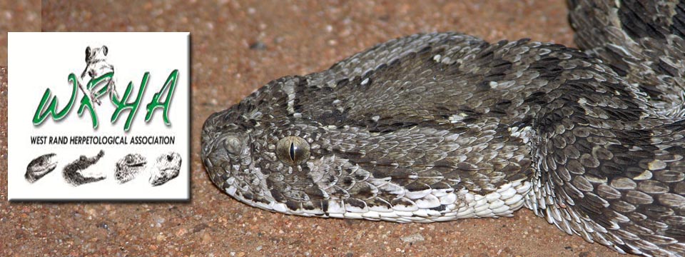 about_feature - West Rand Herpetological Association